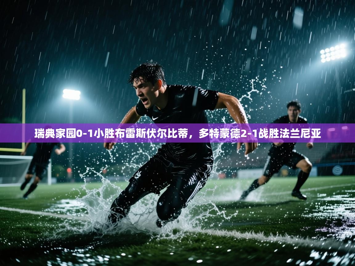 瑞典家园0-1小胜布雷斯伏尔比蒂，多特蒙德2-1战胜法兰尼亚  第2张