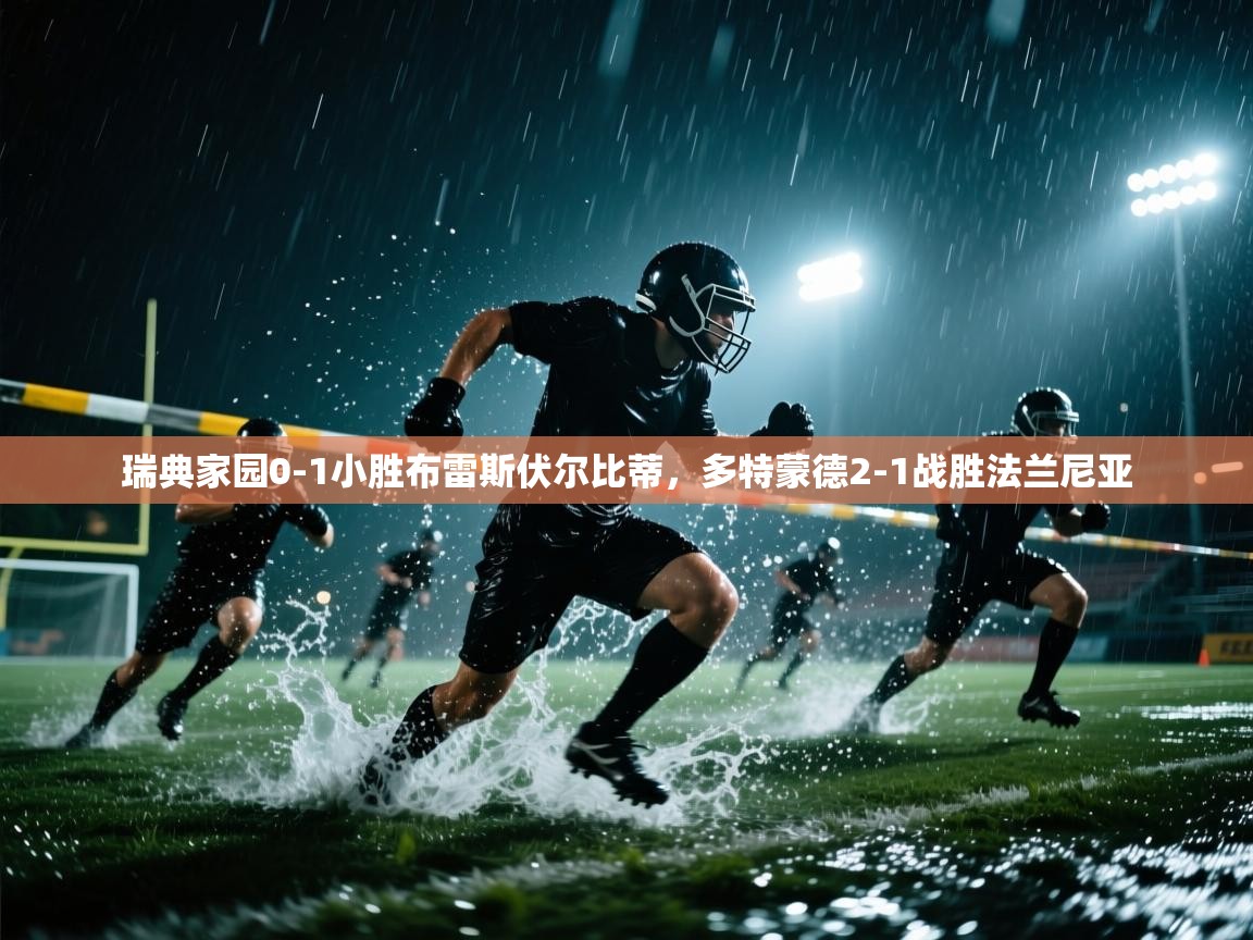 瑞典家园0-1小胜布雷斯伏尔比蒂，多特蒙德2-1战胜法兰尼亚  第1张