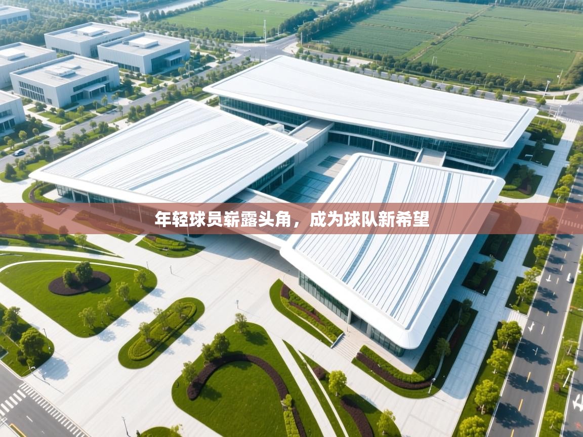 年轻球员崭露头角,成为球队新希望 第1张