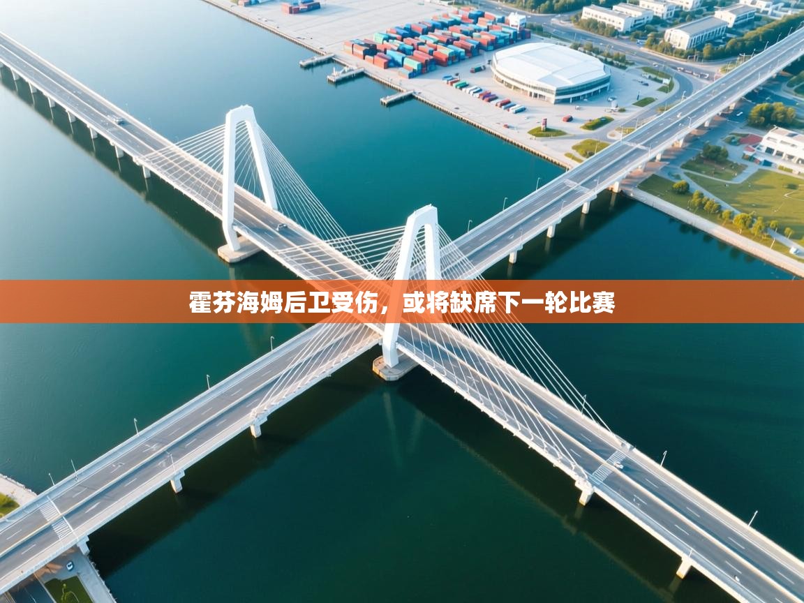 霍芬海姆后卫受伤，或将缺席下一轮比赛  第1张