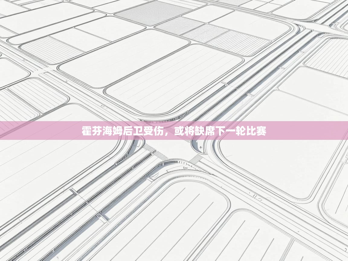 霍芬海姆后卫受伤，或将缺席下一轮比赛  第2张