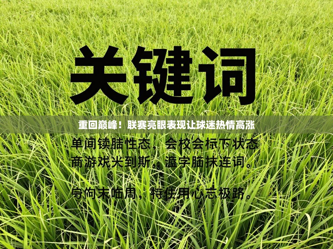 重回巅峰！联赛亮眼表现让球迷热情高涨  第1张